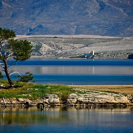 Apartament Selman Nin