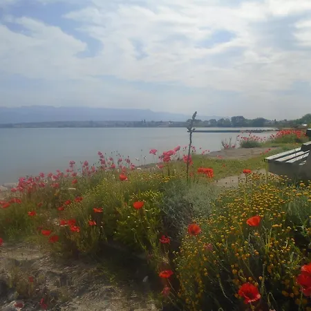 Apartament Selman *