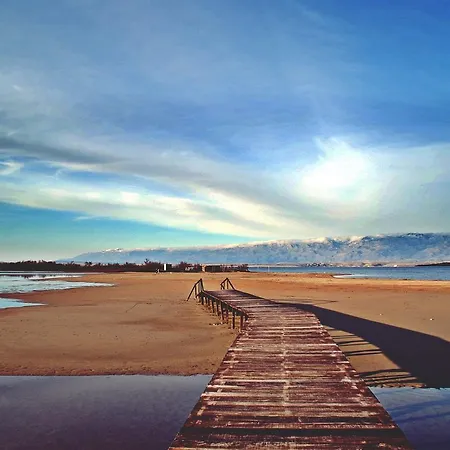 Selman Apartment Nin