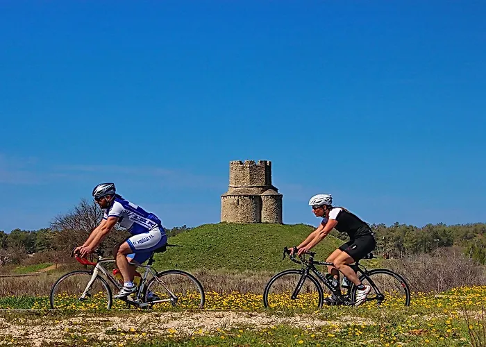 Апартаменты Selman *