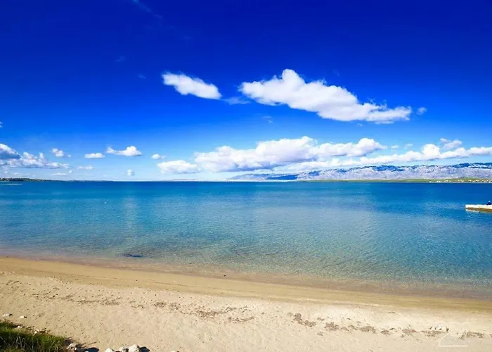 Selman Apartamento Nin